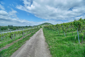 Zwischen Bensheim und Heppenheim