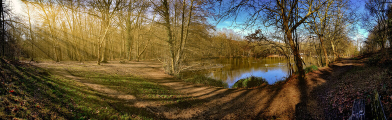 Un étang situé en pleine forêt 