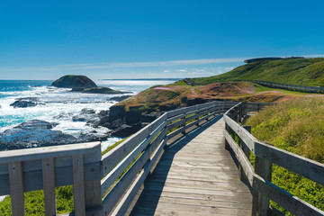 Natural and animals in Phillip Island