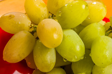 large brush of green grapes in a red ceramic plate on a wooden background