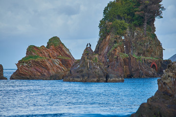 Pareja de aves sobre las rocas