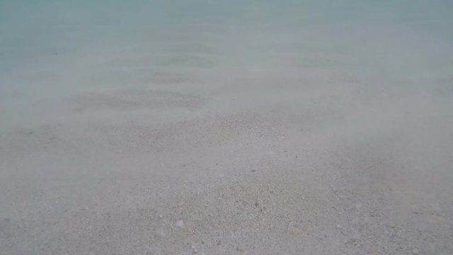 Wei&szlig;er Sand und T&uuml;rkises Wasser am Karibik Strand auf Kuba Varadero