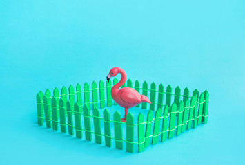 Flamingo bird model mock up in fence on color background