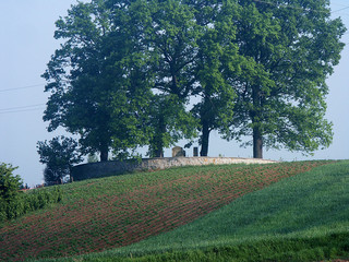cmentarz z pierwszej wojny światowej 