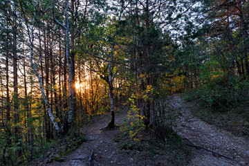 Fototapeta na wymiar Trois pignons forest sunrise in Île de France