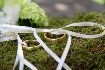 Zwei Eheringe auf Moos liegend für die Hochzeit