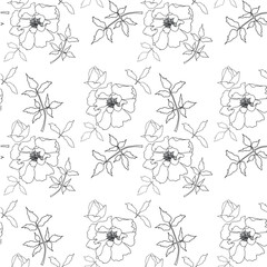 Peony tree flower seamless pattern. Hand drawn doodle background. Flower black thin outline design element stock vector illustration for web, for print
