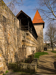 Fototapeta na wymiar Die alte Stadtmauer von Alzey in Rheinhessen, Rheinland-Pfalz, Deutschland 