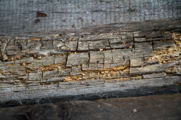 Background of old peeled cracked wood, stacked old boards