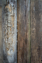 Obraz premium Background of old peeled cracked wood, stacked old boards
