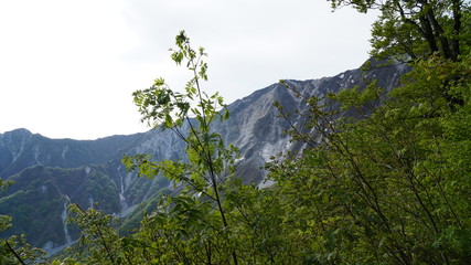 大山　鳥取　景観