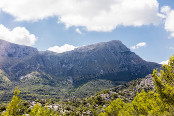 Paysage - Majorque