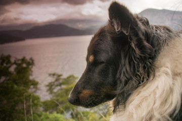 Fototapeta premium Paz salvaje