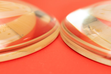 Magnifying glass
