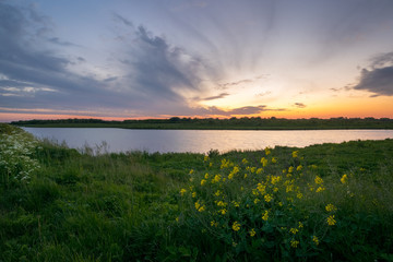 Obraz premium Twilight colors in the sky after sunset over a lake in The Netherlands. Wildflowers are waving in the wind.