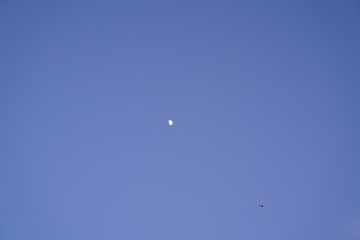 flying to the moon