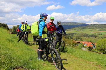 Gruppe von Mountainbikern im Bayerischen Wald - obrazy, fototapety, plakaty