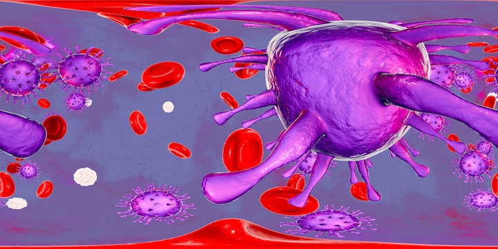 Cytomegaloviruses CMV in human blood, 360-degree spherical panorama, 3D illustration. A DNA virus from Herpesviridae family, mostly causes diseases in newborns and immunocompromised patients
