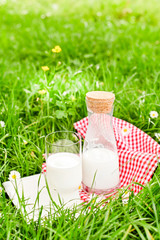 A bottle of milk and a glass on the green grass. Environmentally friendly product for a healthy diet. Sunlight and photo effects