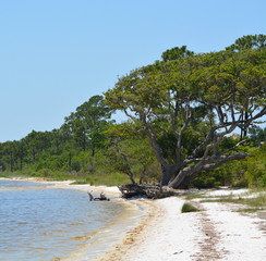 The coast of Gulf Breeze in Santa Rosa County Florida on the Gulf of Mexico, USA