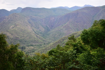 Fototapeta premium View of Rat Tail Falls in Kodaikanal Hills
