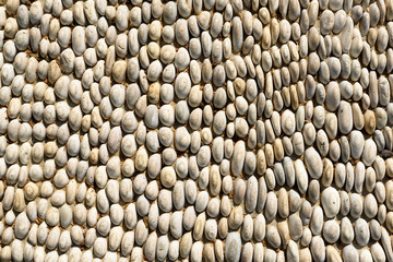 Rows of white river pebbles patterned for background