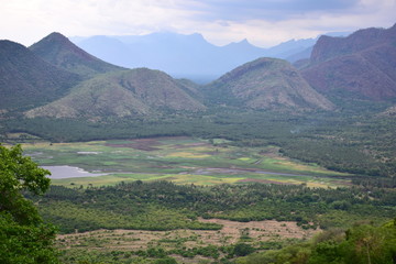 Obraz premium Green Valley View w Kodaikanal Hills