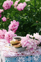 Fototapeta na wymiar Tea in country style in summer garden. Two cups of black tea and pancakes on handmade crocheted vintage lacy tablecloth and blooming peony flowers in sunlight.