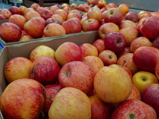 Fresh apples in the market