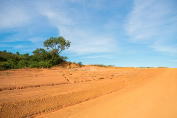 Fototapeta na wymiar Dry, orange soil and blue sky in the countryside of Oeiras - Piaui state, Brazil (Sertao landscape)
