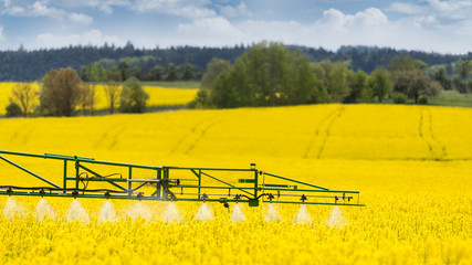 Agricultural sprayer detail. Flowering rapeseed field. Brassica napus. Working spraying machine in yellow canola land. Spring landscape. Chemical fertilizers, toxic pesticides, insecticides. Ecology. - obrazy, fototapety, plakaty