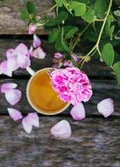 Tea-party in country style in summer garden in the village. Vintage cup of green herbal tea on weathered wooden boards and blooming pink roses in sunlight.
