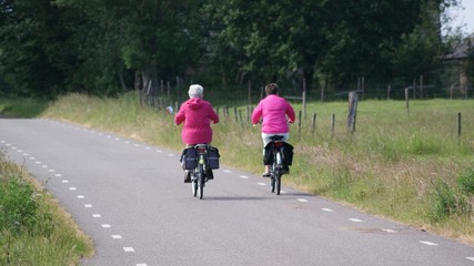 Fototapeta premium couple riding a bicycle in the park