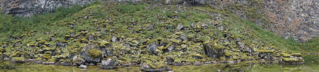 Fantastic Asbyrgi Canyon on Iceland with rocks, trees and beautiful landscape