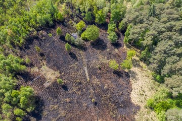 Brand in der Ohligser Heide