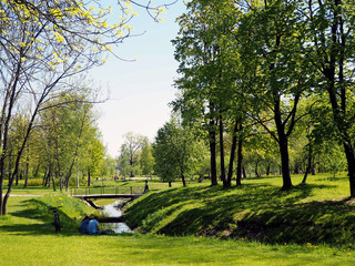 Obraz premium Spring City park with flowering trees and flowers