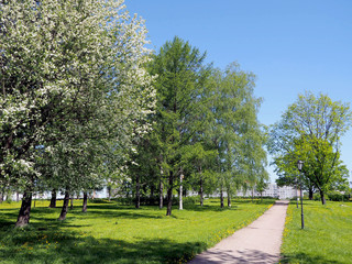Spring City park with flowering trees and flowers