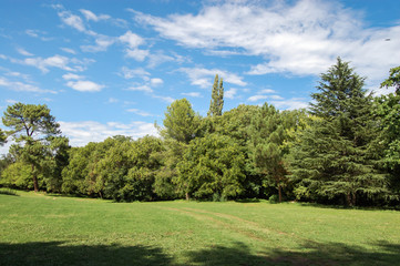Green field landscape, trees and blue sky