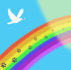 The rainbow bridge with paws print going in to the light - obrazy, fototapety, plakaty