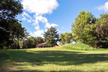 Green field landscape, trees and blue sky