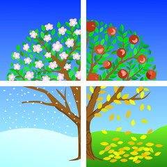 EPS 10 Vector illustration of a tree divided into the four seasons. Winter, spring, summer and autumn. Apple tree for your design projects!