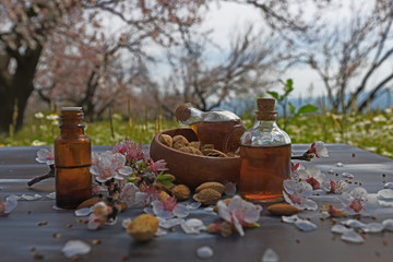 Natural almond oil in almonds and bottle of almond trees on the wooden background.