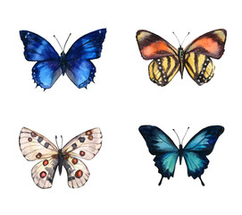 Obraz premium Watercolor colorful butterflies, isolated on white background. blue, yellow, pink and red butterfly spring illustration