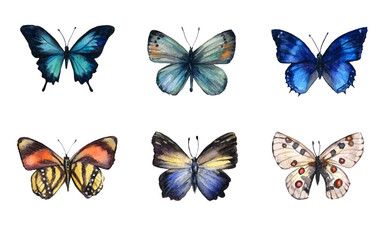 Obraz na płótnie Canvas Watercolor colorful butterflies, isolated on white background. blue, yellow, pink and red butterfly spring illustration