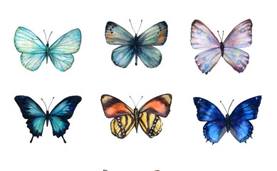 Watercolor colorful butterflies, isolated on white background. blue, yellow, pink and red butterfly spring illustration