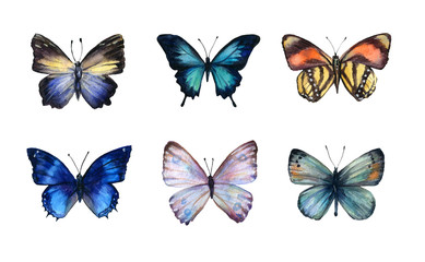 Naklejka na ściany i meble Watercolor colorful butterflies, isolated on white background. blue, yellow, pink and red butterfly spring illustration