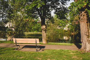 bench in the park