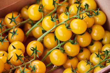 Background with beautiful, yellow tomatoes seen from close up at the market.