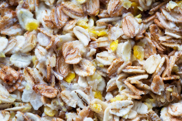 Oatmeal porridge with milk close-up