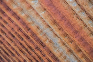 Colourful stained wood